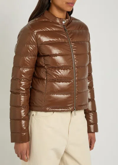 Moncler Papillon Padded Glossed Shell Jacket In Brown