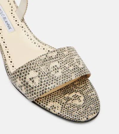 Manolo Blahnik Patobarnu 30 Lizard-effect Leather Sandals In Multi