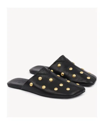 Chloé Elisabetta Franchi Belted Safari Jacket In Black