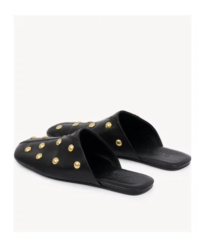 Chloé Elisabetta Franchi Belted Safari Jacket In Black