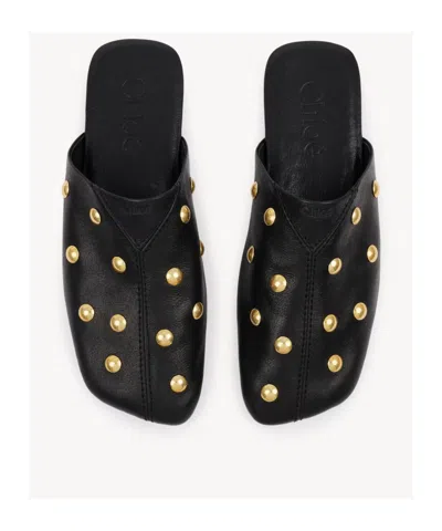 Chloé Elisabetta Franchi Belted Safari Jacket In Black