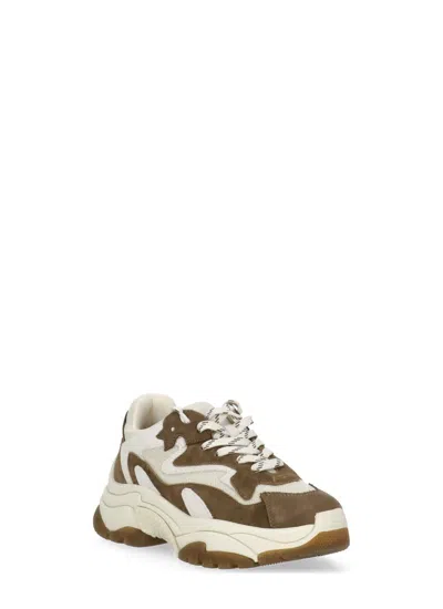 Ash Paneled Sneakers In Brown