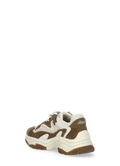 Ash Paneled Sneakers In Brown