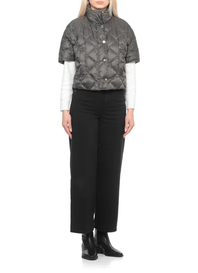 Ash Hasley Ankle Boots In Black