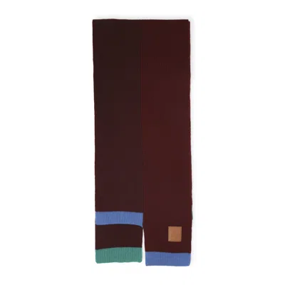 Loewe 30x178 Asymmetric Scarf In Multi