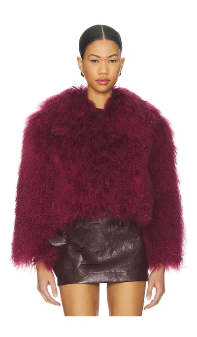 Bubish Georgina Jacket In Red