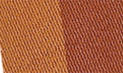 Longchamp Shadow Adjustable Canvas Shoulder Strap In Brown