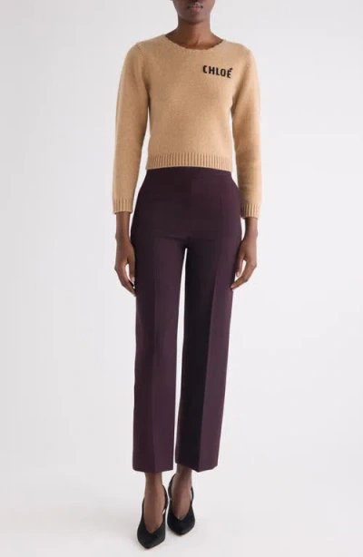 Chloé Scalloped Wool And Cashmere Blend Sweater In Multi