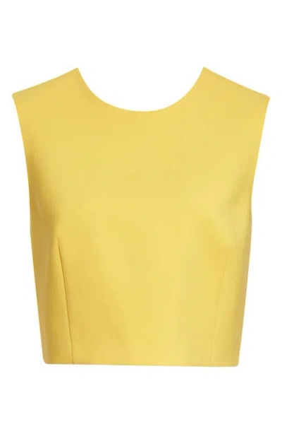 Carolina Herrera Stretch Virgin Wool Crop Top In Yellow