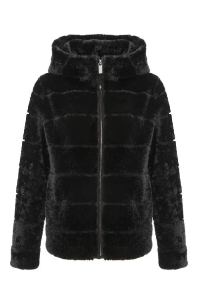 Gorski Horizontal Curly Shearling Lamb Zip Hooded Jacket In Black