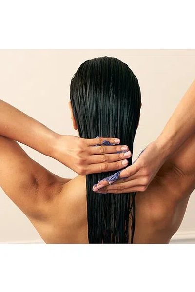 Christophe Robin Shade Variation Mask In Brown