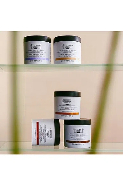 Christophe Robin Shade Variation Mask In Brown