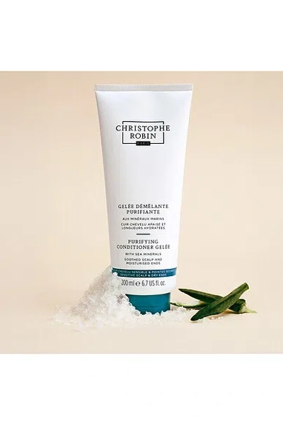 Christophe Robin Purifying Conditioner Gelee In Default Title
