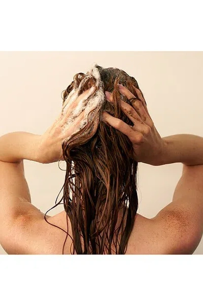 Christophe Robin Cleansing Volumizing Paste With Pure Rassoul Clay And Rose Extracts In Multi