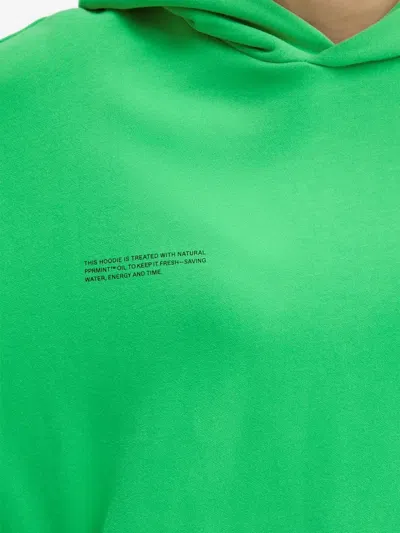Pangaia Lettering Hoodie In Green