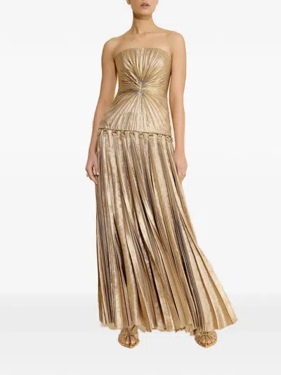 Acler Fintry Pleated Strapless Maxi Dress In Gold