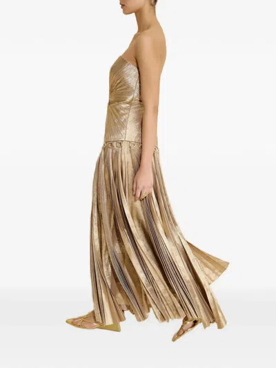 Acler Fintry Pleated Strapless Maxi Dress In Gold
