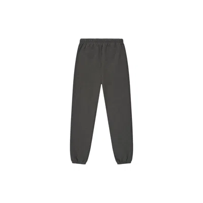 Essentials Classic Sweatpants In Gray