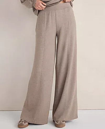 Ann Taylor Haven Well Within Soft Knit Wide Leg Pants