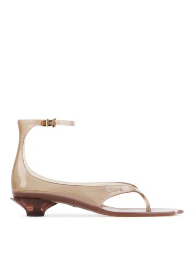 Chloé Jelly Brown Sandals With Logo Imprinted On The Side And Ankle Buckle Closure In Tpu Woman In Neutral