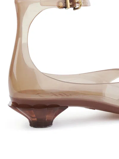 Chloé Jelly Brown Sandals With Logo Imprinted On The Side And Ankle Buckle Closure In Tpu Woman In Neutral