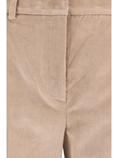 Weekend Max Mara Pants In Brown