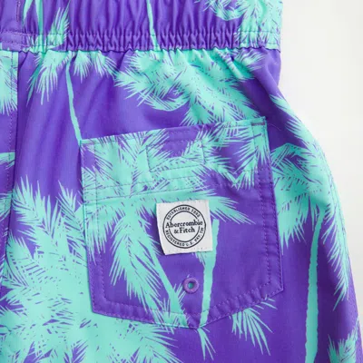 Abercrombie & Fitch Swim Trunks In Multi