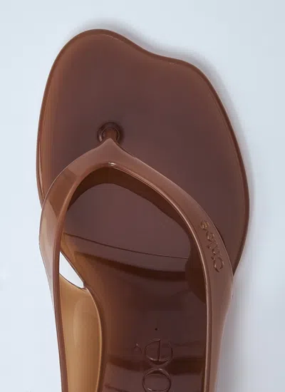 Chloé Chloe Women Biscuit Tpu Chloe Jelly Thong Sandals In Brown