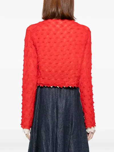 Yanyan Knits Borlor Cardigan In Red
