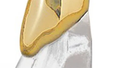 Alexis Bittar 14ct Gold-plated Lucite Front Back Double Drop Earrings