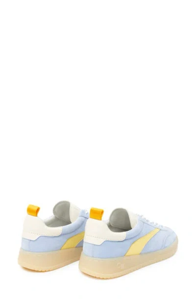 Oncept Panama Low Top Sneaker In Multi