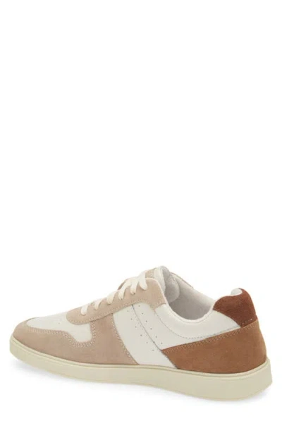 Steve Madden Herro Low Top Sneaker In Multi
