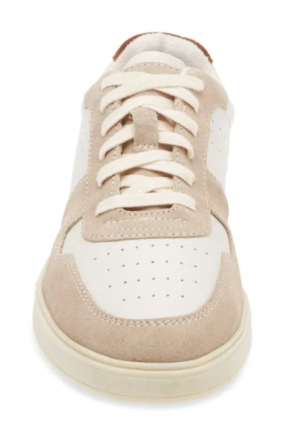 Steve Madden Herro Low Top Sneaker In Multi