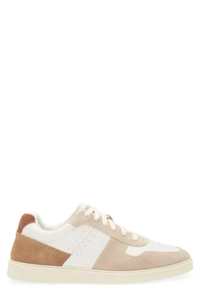 Steve Madden Herro Low Top Sneaker In Multi