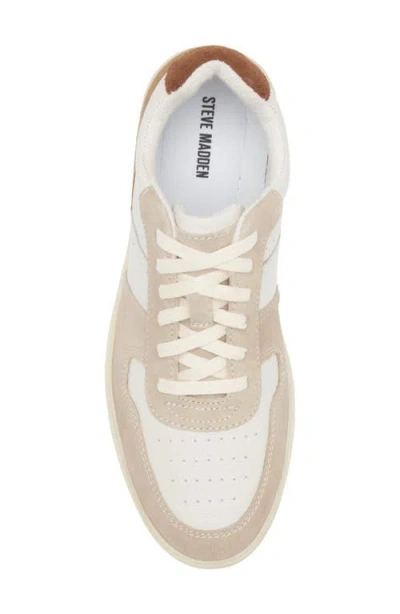 Steve Madden Herro Low Top Sneaker In Multi