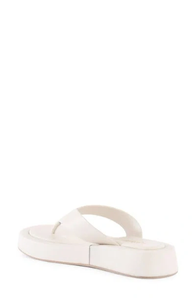 Seychelles Nautical Flip Flop Sandal In White