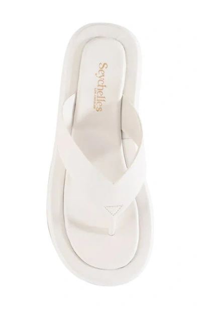 Seychelles Nautical Flip Flop Sandal In White