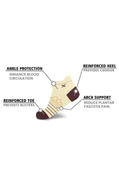 Extreme Fit 3-pack Ankle Length Compression Socks In Multi