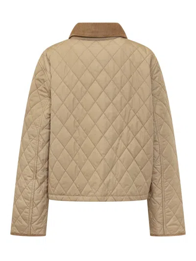 Burberry Dorset Quilted Nylon Jacket In Brown