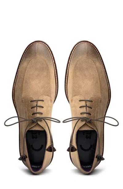 Zelli Italia Campo Derby In Brown