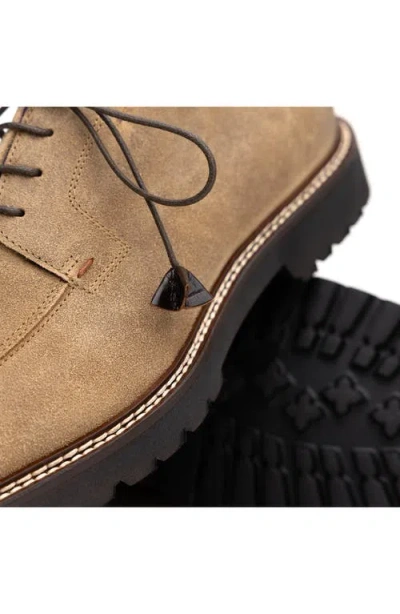 Zelli Italia Campo Derby In Brown