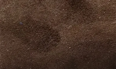 Zelli Italia Hebilla Monk Strap Shoe In Brown