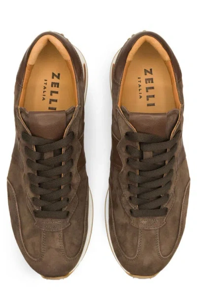 Zelli Italia Roxi Sneaker In Brown