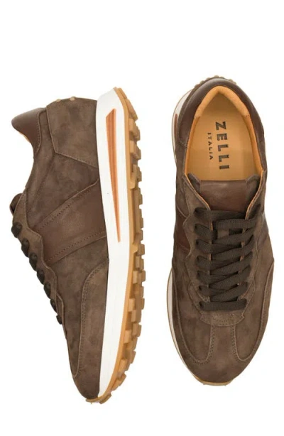 Zelli Italia Roxi Sneaker In Brown