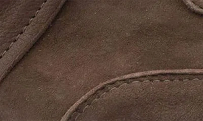 Zelli Italia Roxi Sneaker In Brown