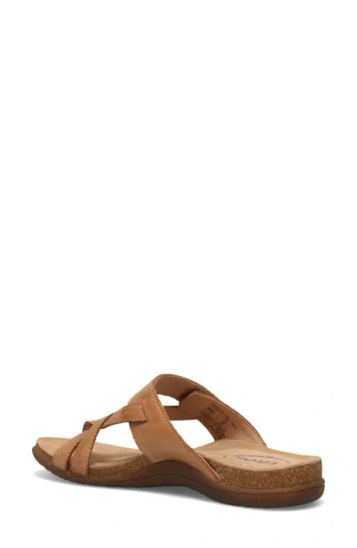Taos Perfect Toe Loop Sandal In Brown