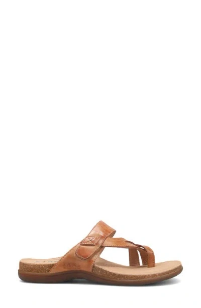Taos Perfect Toe Loop Sandal In Brown