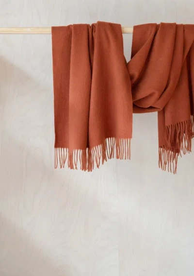 Tbco Lambswool Block Color Blanket Scarf In Brown