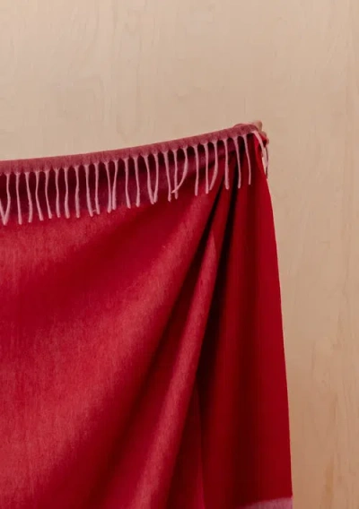 Tbco Lambswool Check Throw Blanket In Pink