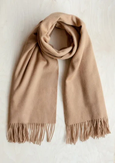 Tbco Lambswool Block Color Blanket Scarf In Brown